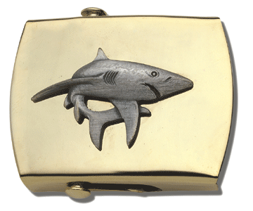 Shark Shark